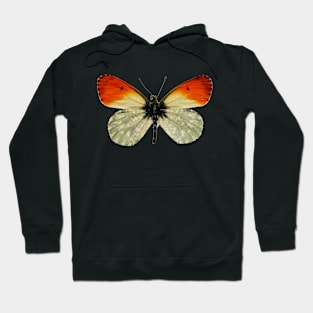 Butterfly Hoodie